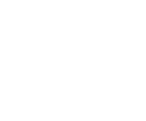 Credito 20 euro de credito de regalo para la demo re-auditIA